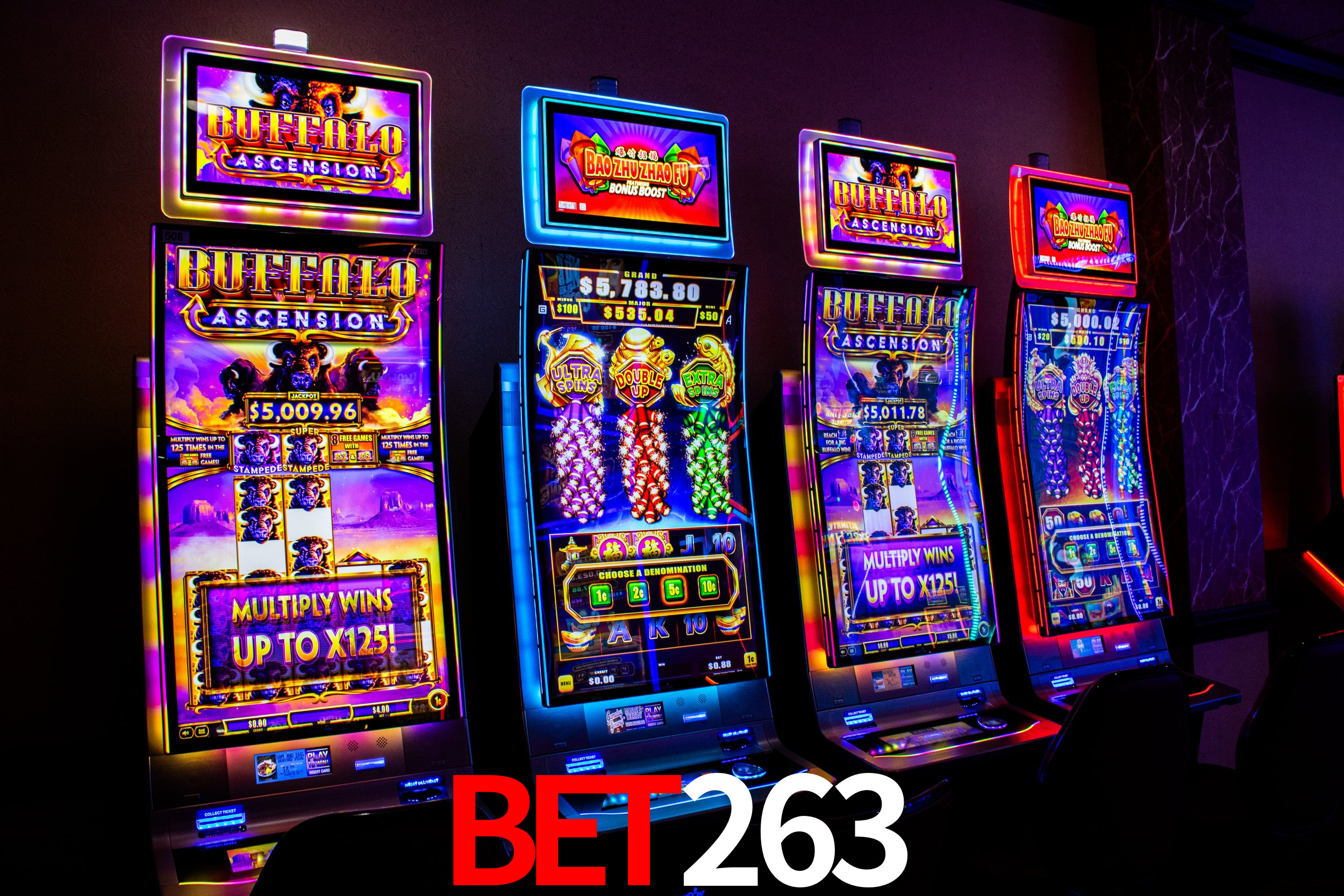 bet263